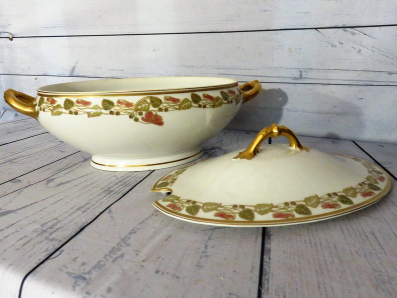 Haviland Limoges Schleiger 106 Unique Pattern Vintage China Etsy
