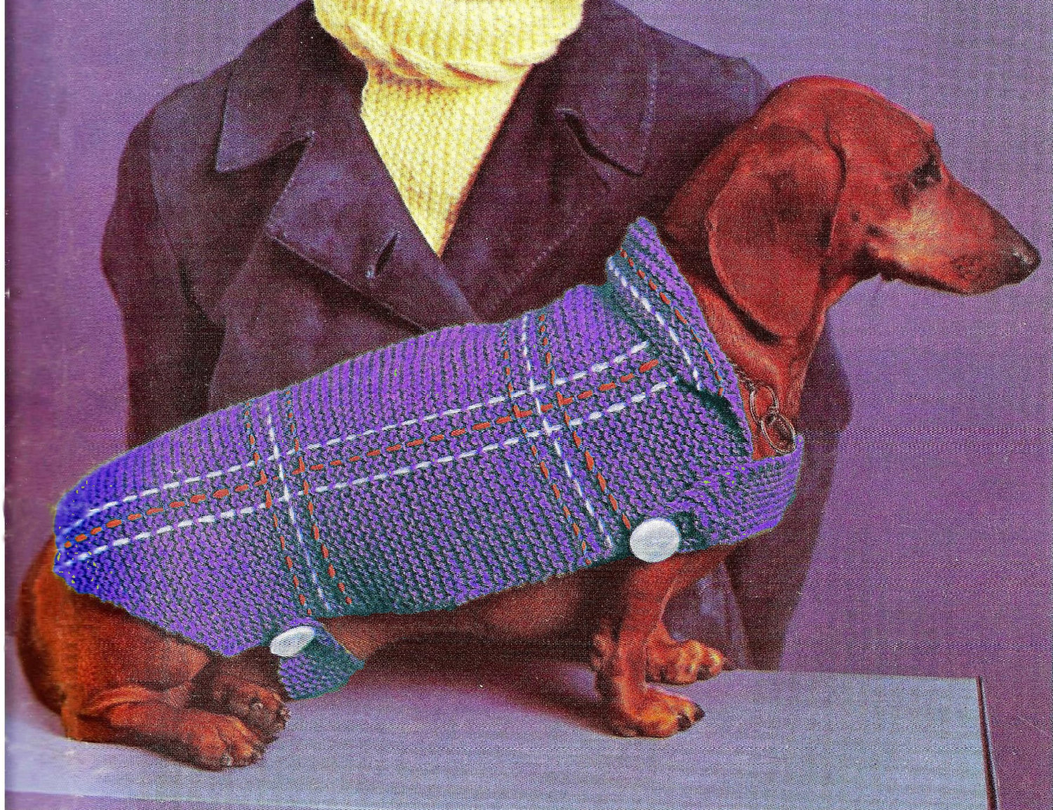 PDF Dog Blanket Coat Knitting Pattern Instructions K13 PDF Etsy Australia