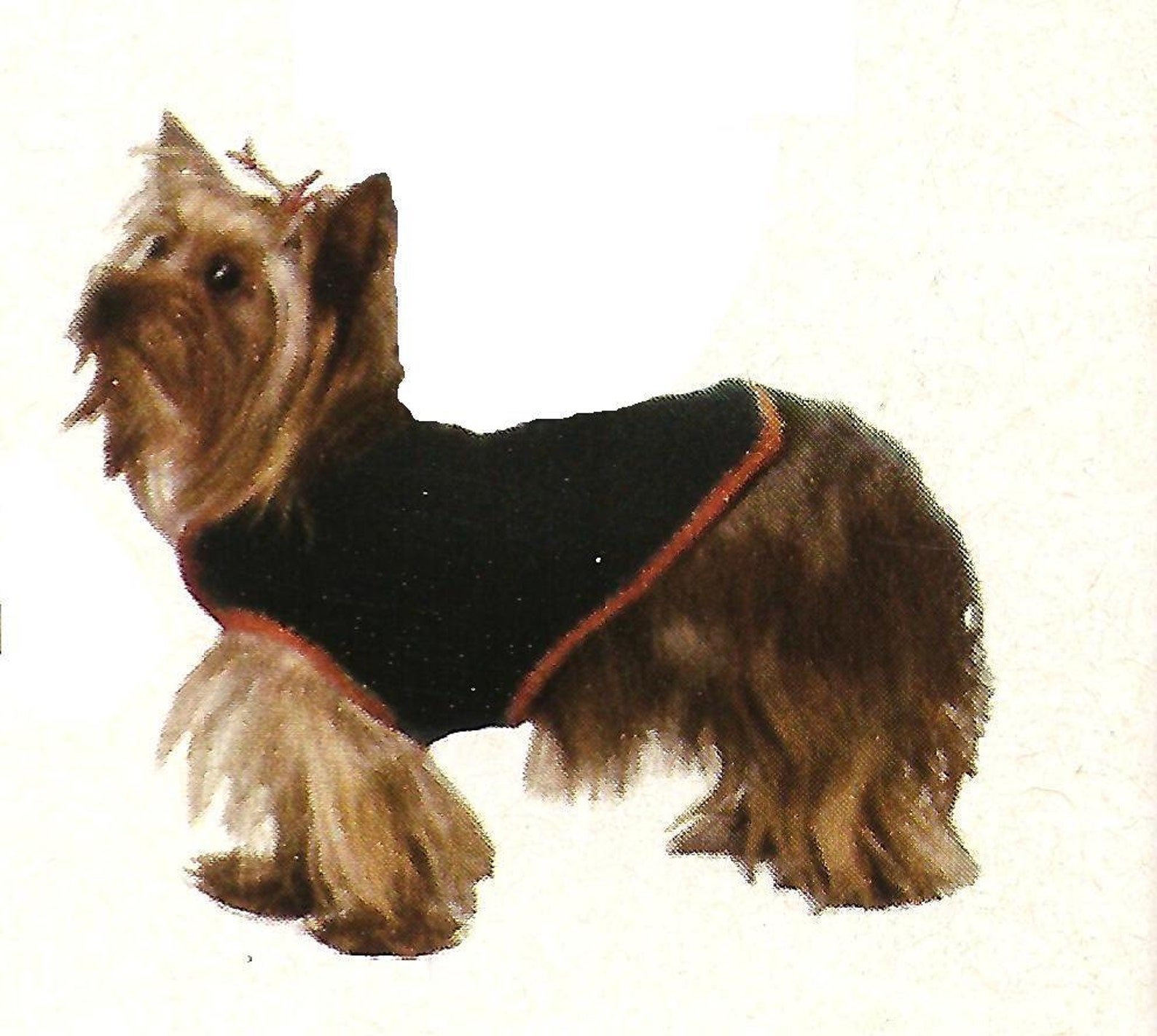 PDF Small Dog Yorkie Terrier Crochet Sweater Pattern Etsy