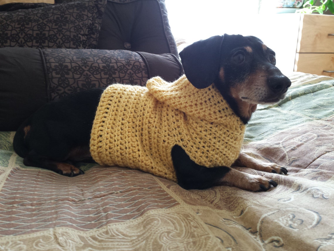 Hooded Dog Dachshund Pull Over Sweater Crochet Pattern Etsy