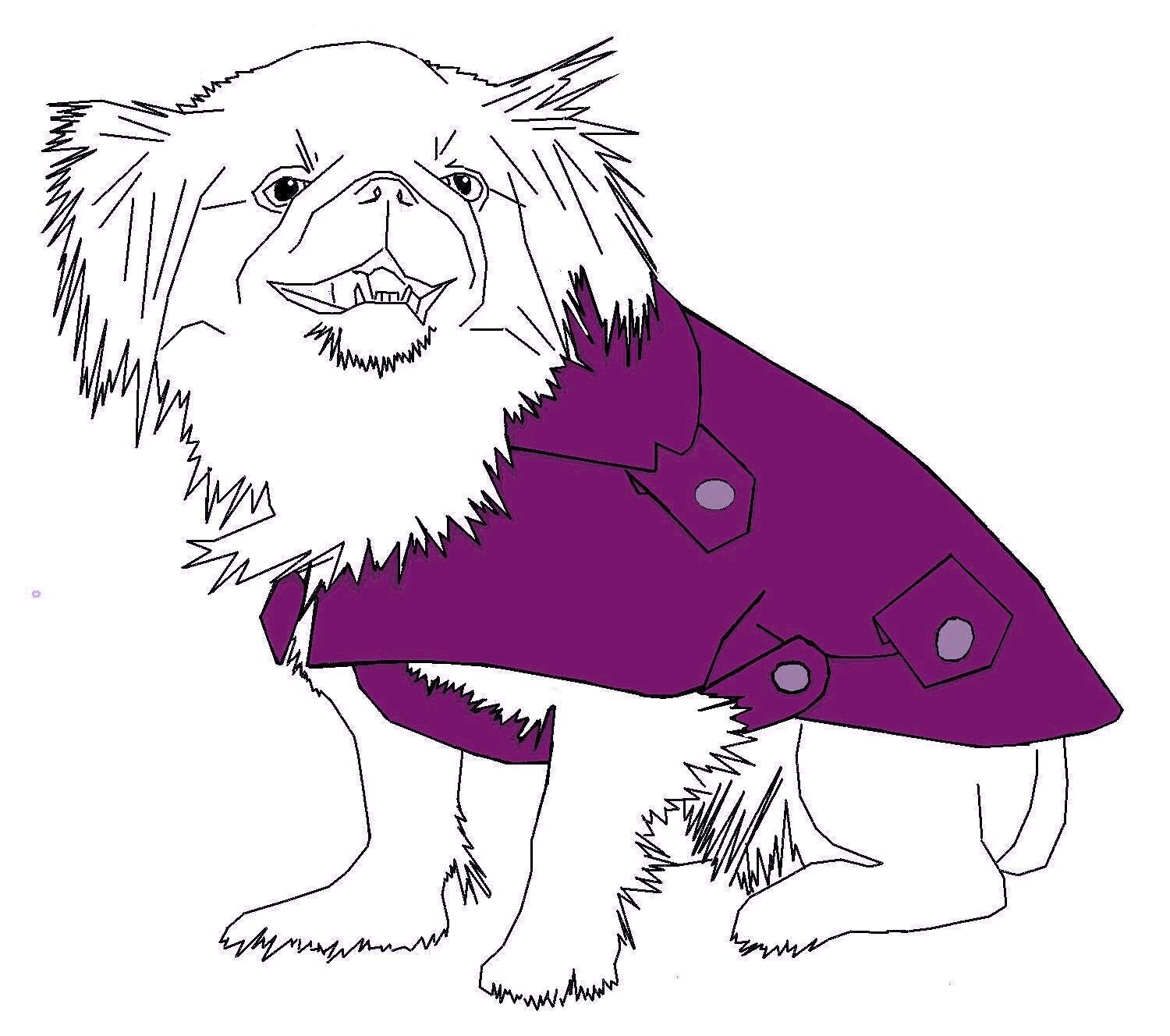 PDF Vintage Dog's Coat Sewing Pattern Instructions Etsy