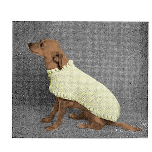 PDF Vintage Cat or Dog Crochet Sweater Coat Pattern C19 PDF