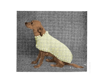 PDF Vintage Cat or Dog Crochet Sweater Coat Pattern C19 PDF