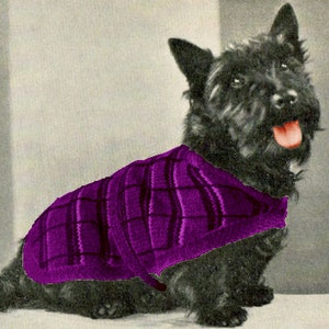 1930's Terrier Dog Knitting Sweater Coat Pattern