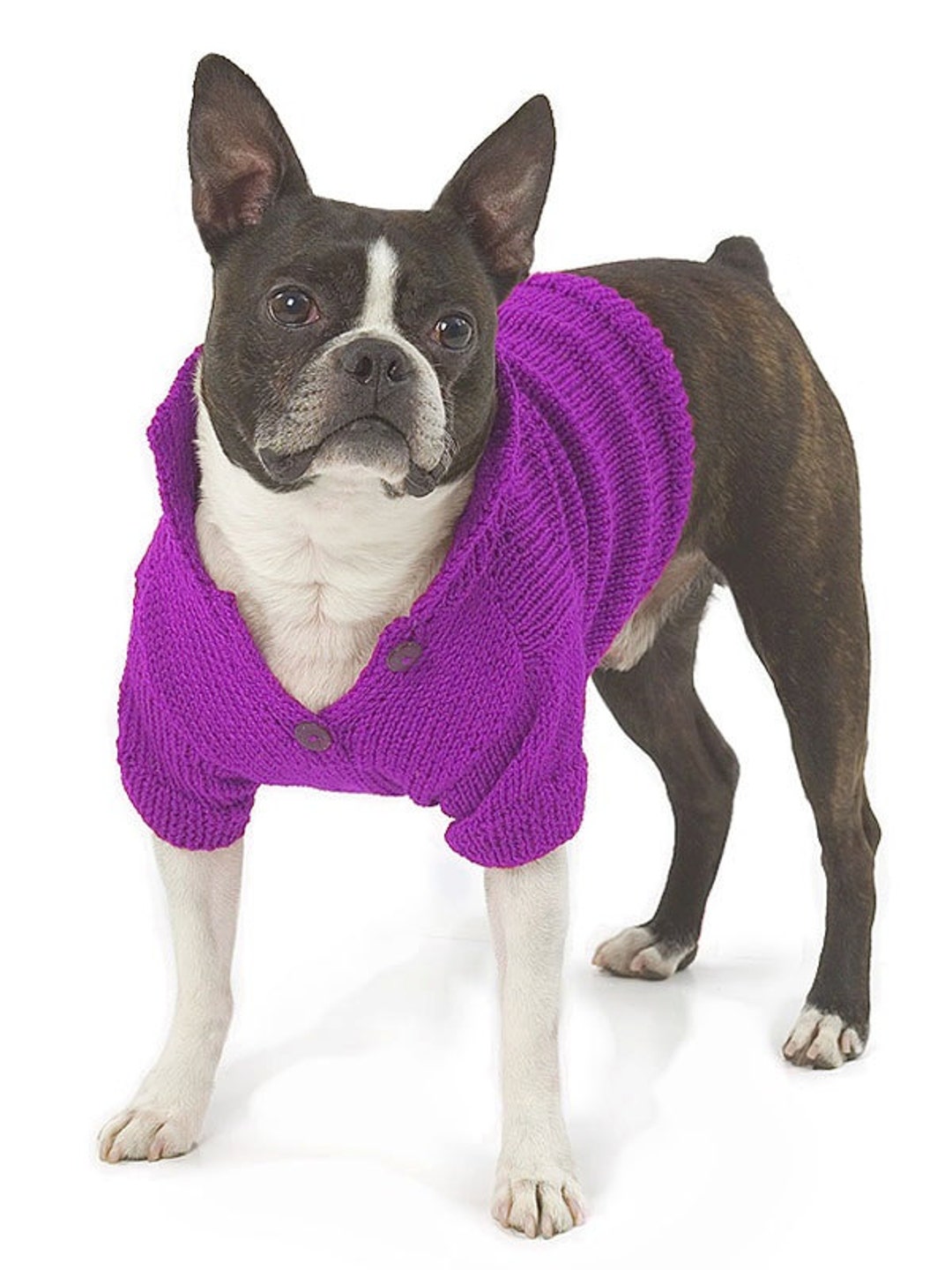 Basic Button Knit Dog Sweater Pattern Instruction PDF - Etsy