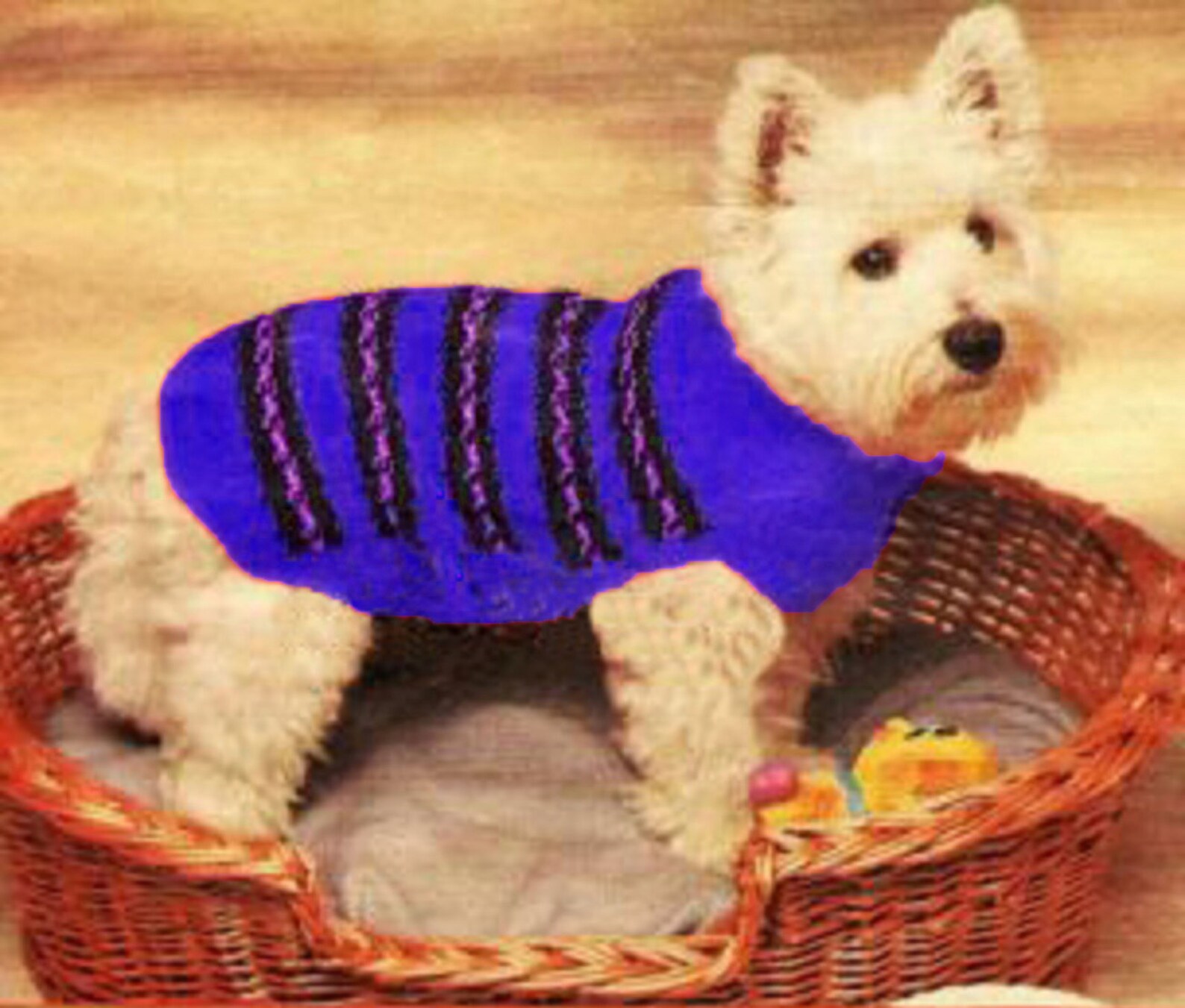 PDF Westie Terrier Sweater Knitting & Crochet Pattern C21 Etsy