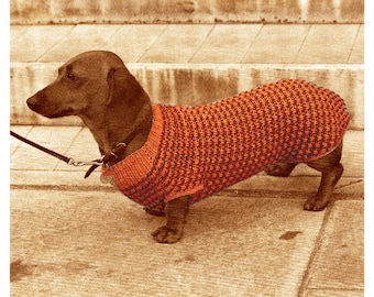 Vintage Dachshund Dog K9 Pet Tweed Sweater Knitting Instruction Pattern 2-63