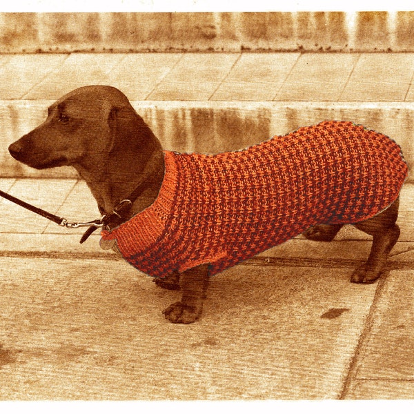 Suéter de tweed vintage para perro salchicha K9, patrón de instrucciones de tejido 2-63