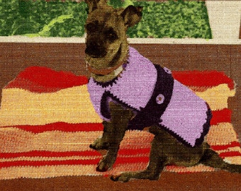 PDF Vintage Small Dog's (Chihuahua) Coat Sweater Crochet Pattern Instructions C79