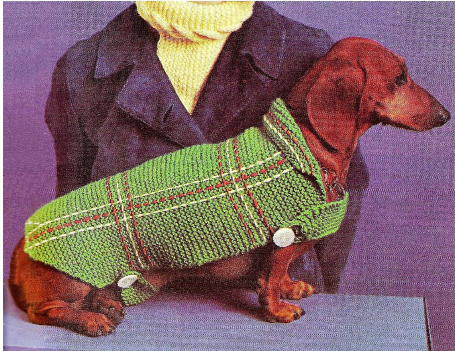 PDF Dog Blanket Coat Knitting Pattern Instructions K13 PDF Etsy