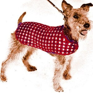PDF His Majesty Dog Coat Knitting Pattern K15