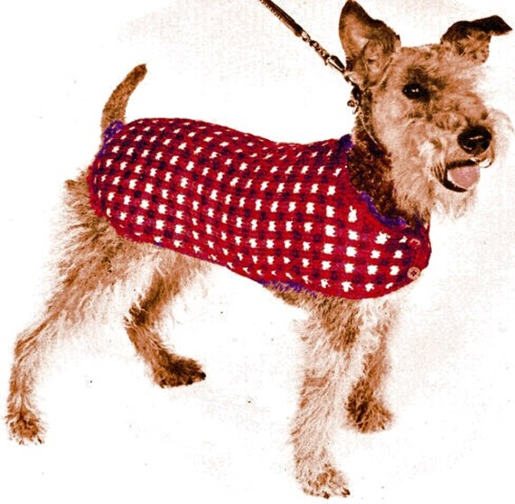 PDF His Majesty Dog Coat Knitting Pattern K15 Etsy