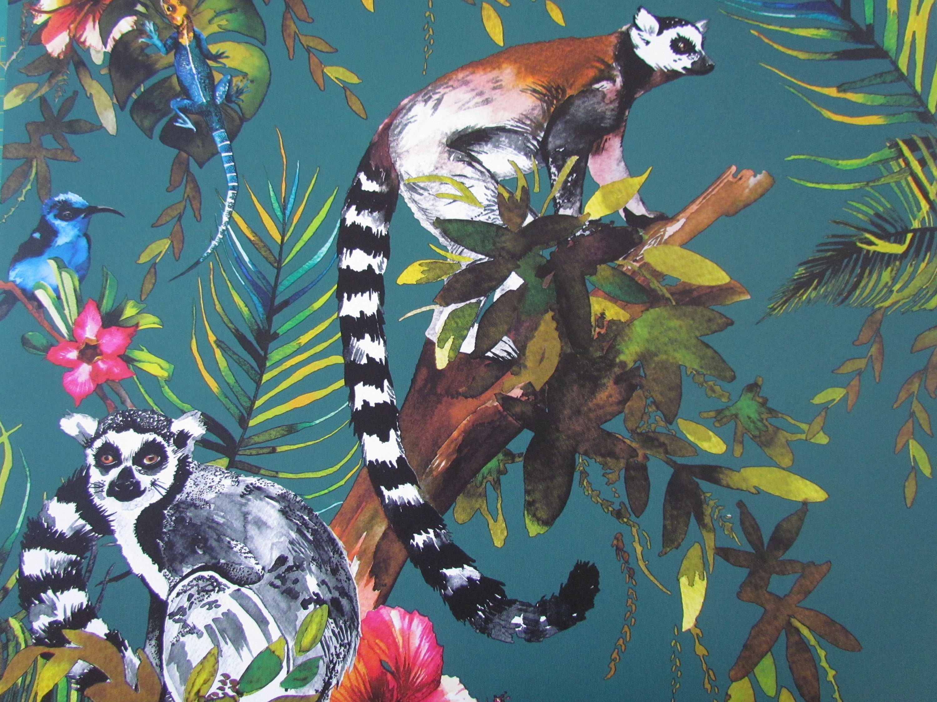 Amarillo brillante y azul azul Gheko zumbido pájaro tambor | Etsy