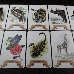 Op de afbeelding: Een set van 10 tarotkaarten met illustraties van dieren. De kaarten zijn wit met bruine randen en hebben een banner onderaan met de naam van de kaart en het nummer. De kaarten omvatten Rechtvaardigheid, De Kluizenaar, Het Rad van Fortuin, Kracht, De Gehangene, De Dood, Matigheid, De Duivel, De Toren en De Ster.