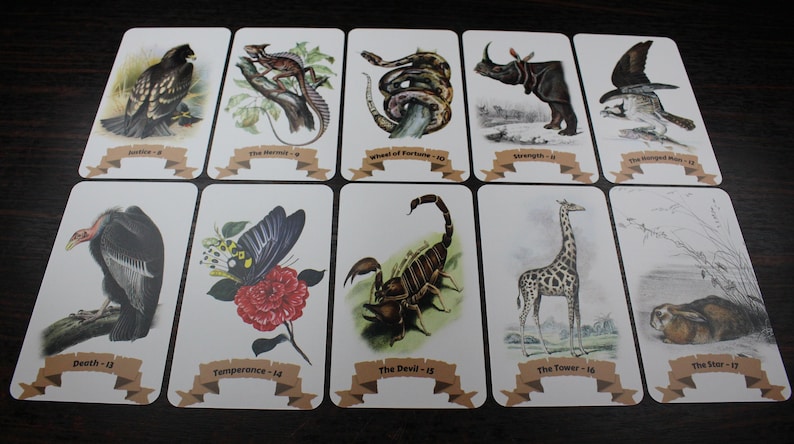Op de afbeelding: Een set van 10 tarotkaarten met illustraties van dieren. De kaarten zijn wit met bruine randen en hebben een banner onderaan met de naam van de kaart en het nummer. De kaarten omvatten Rechtvaardigheid, De Kluizenaar, Het Rad van Fortuin, Kracht, De Gehangene, De Dood, Matigheid, De Duivel, De Toren en De Ster.