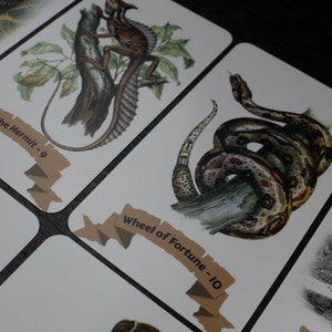 Op de afbeelding: Een set tarotkaarten met illustraties van dieren. De kaarten zijn wit met bruine tekst en een bruin lint. De kaarten tonen een kameleon op een tak, een slang die om een tak gewikkeld is en een neushoorn in een veld.