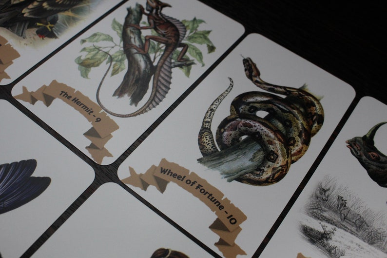 Op de afbeelding: Een set tarotkaarten met illustraties van dieren. De kaarten zijn wit met bruine tekst en een bruin lint. De kaarten tonen een kameleon op een tak, een slang die om een tak gewikkeld is en een neushoorn in een veld.