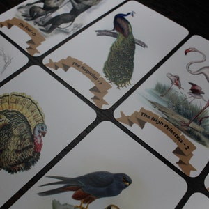 Op de afbeelding: Een set tarotkaarten met illustraties van dieren. De kaarten zijn wit met bruine tekst en een bruin lint. De kaarten tonen een beer, een pauw, een kalkoen, een flamingo en een havik.