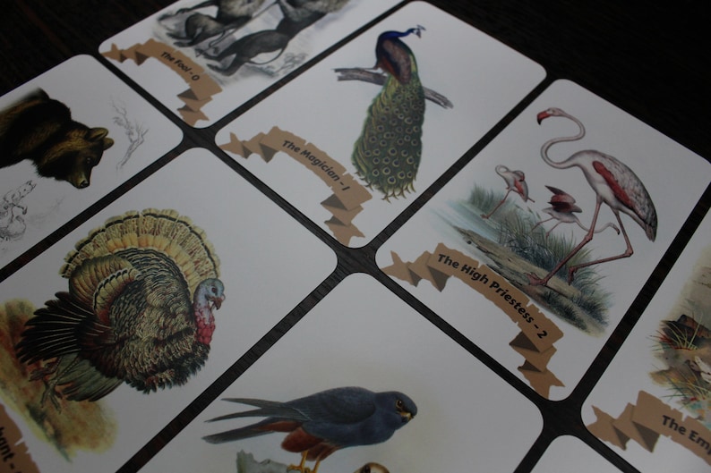 Op de afbeelding: Een set tarotkaarten met illustraties van dieren. De kaarten zijn wit met bruine tekst en een bruin lint. De kaarten tonen een beer, een pauw, een kalkoen, een flamingo en een havik.