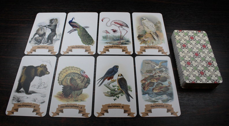 Op de afbeelding: Een deck tarotkaarten met een groene en witte gepatroneerde achterkant. De kaarten zijn in twee rijen gelegd, met de kaarten van de Dwaas, de Tovenaar, de Hogepriesteres, de Keizerin, de Keizer, de Hi&euml;rofant, de Geliefden en de Wagen. Elke kaart heeft een andere dierenillustratie.
