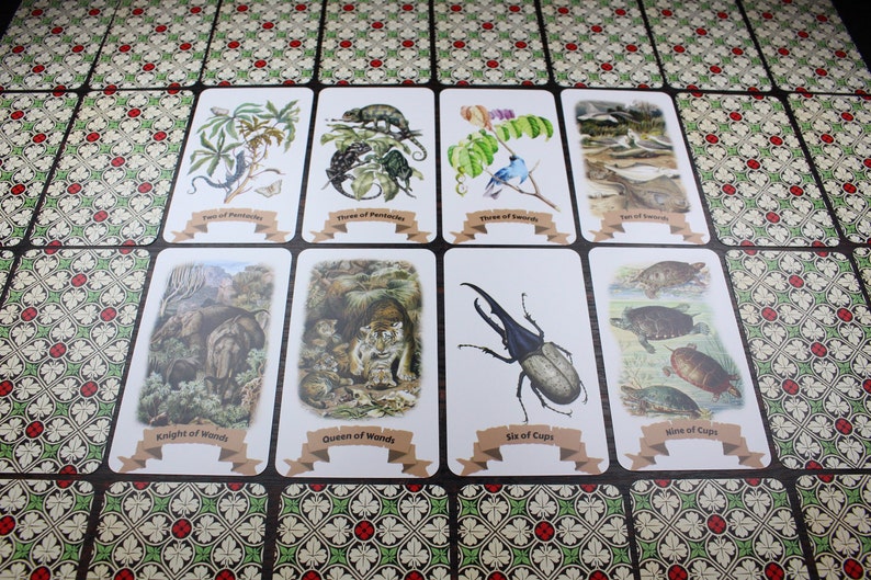Op de afbeelding: Een set van tien tarotkaarten met illustraties van dieren en planten. De kaarten zijn wit met bruine randen en hebben een banner met de naam van de kaart. De kaarten zijn in twee rijen van vijf gelegd.