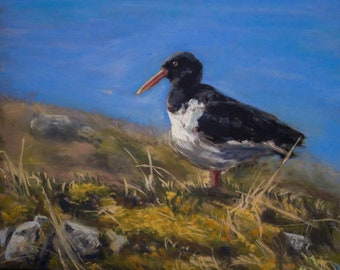 Take the High Road - an Oystercatcher in the Scottish Highlands Original Pastel Painting by Pamela Ruddy