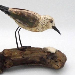 Folk art recycled wood sanderling on driftwood base