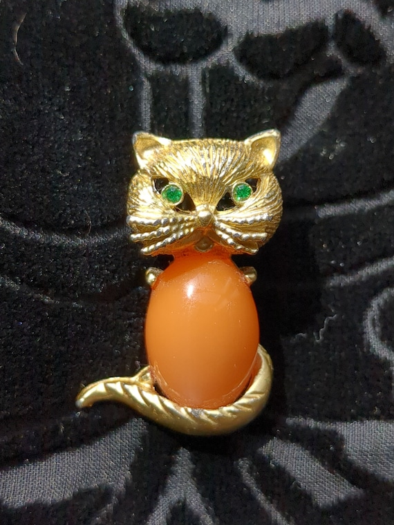 Jelly belly cat discount