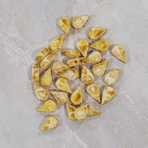 Perles Amos® par Puca®, travertin blanc, 2 trous, 30 unités, 5 x 8 mm, (03000-86800)