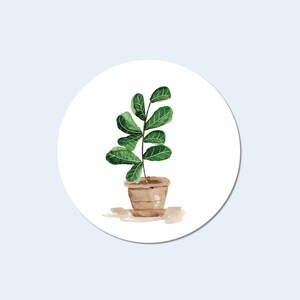 Stickers figue feuille violon | rond mat | Cachet pour enveloppe végétale | Fermeture d'enveloppe pour plantes en pot | Preppy peint à la main | Amoureux des plantes