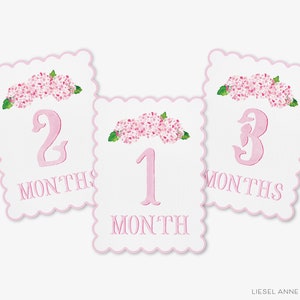 Monatliche Meilensteinkarten mit Hortensie | Durch den Monat Babyfotos | Neugeborene Meilensteine | Baby Geschenk | Aquarell Erinnerungsbuch