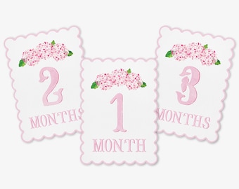 Pink Hydrangea Scalloped Monthly Milestone Cards | By the Month Baby Photos | Newborn Milestones | Preppy Baby Gift | Watercolor Memory Book