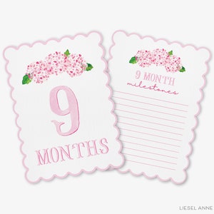 May include: Pink and green floral baby milestone card with the number 9 and the text "9 months". The card also includes a space to write down milestones for the 9th month.