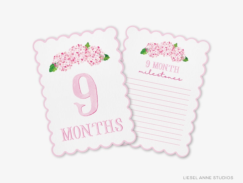 May include: Pink and green floral baby milestone card with the number 9 and the text "9 months". The card also includes a space to write down milestones for the 9th month.