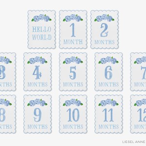 May include: Twelve blue and white baby milestone cards with hydrangea flowers and numbers 1 through 12. The first card says "Hello World".