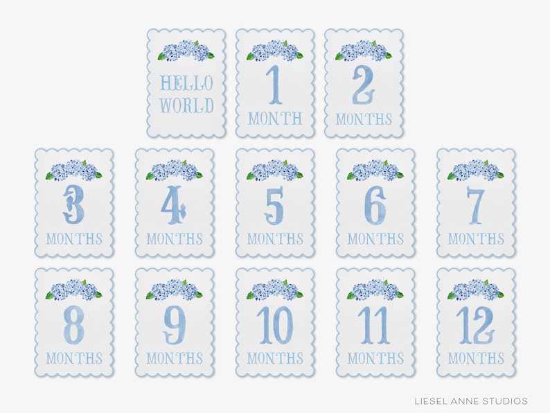 May include: Twelve blue and white baby milestone cards with hydrangea flowers and numbers 1 through 12. The first card says "Hello World".