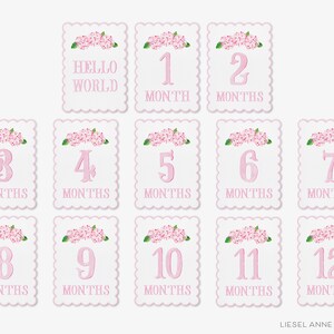 May include: Twelve pink and white baby milestone cards with floral accents. Each card features a number from 1 to 12, with the word "MONTHS" below each number. The first card says "HELLO WORLD".
