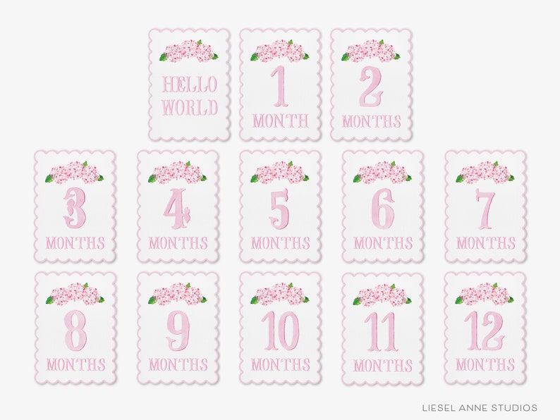 May include: Twelve pink and white baby milestone cards with floral accents. Each card features a number from 1 to 12, with the word "MONTHS" below each number. The first card says "HELLO WORLD".