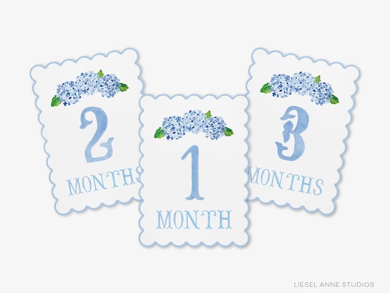Blue Hydrangea Scalloped Monthly Milestone Cards | By the Month Baby Photos | Newborn Milestones | Preppy Baby Gift | Watercolor Memory Book