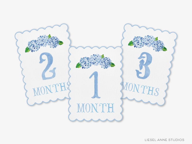 May include: Three blue and white baby milestone cards with hydrangea flowers. The cards read "1 month", "2 months", and "3 months".