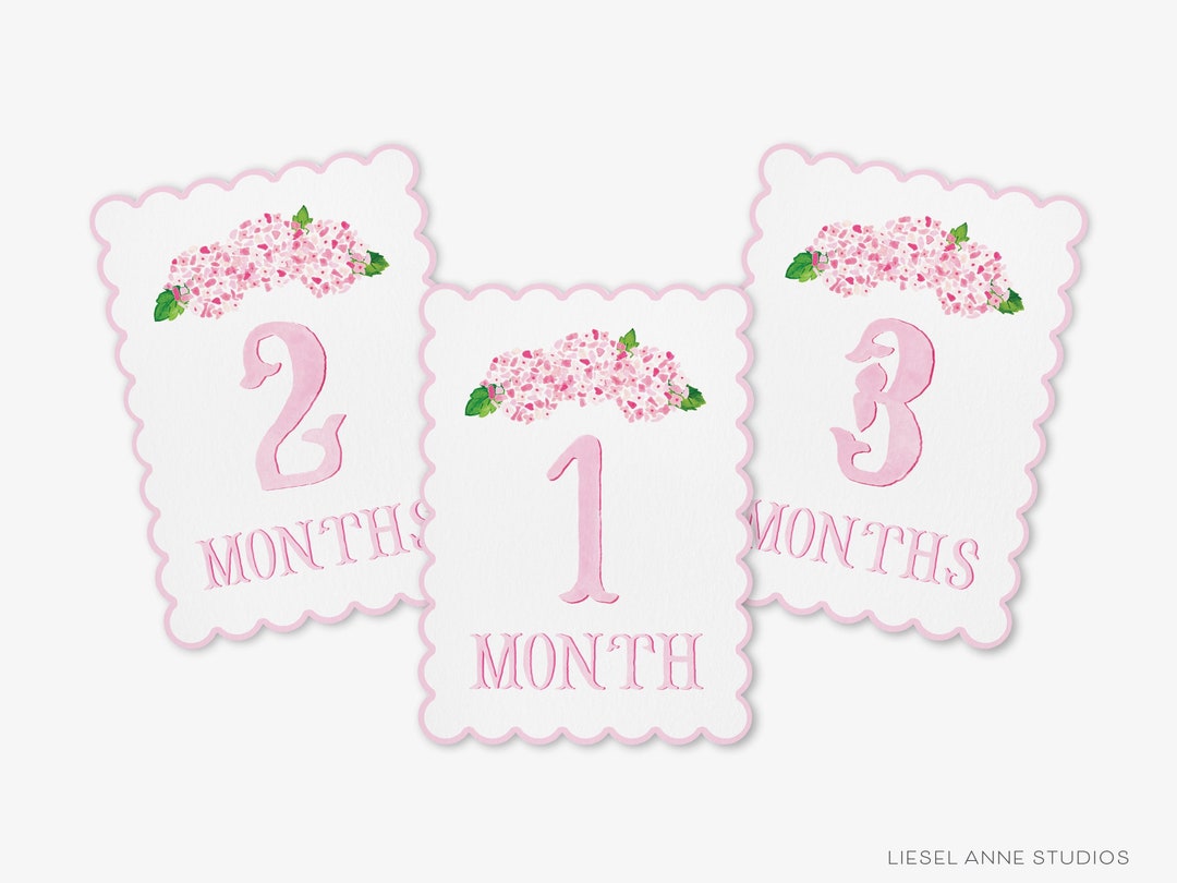 Pink Hydrangea Scalloped Monthly Milestone Cards | by the Month Baby ...