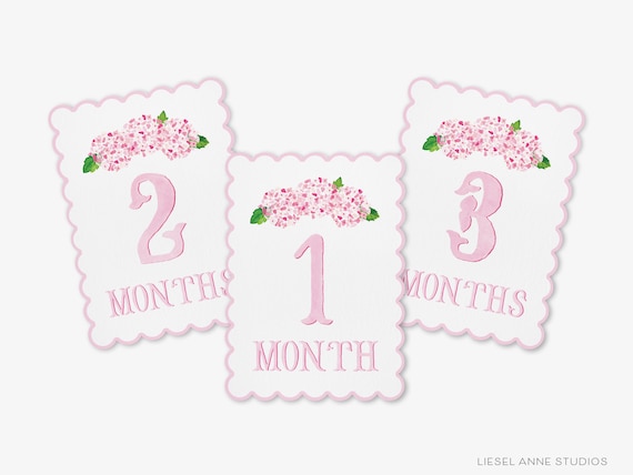 Pink Hydrangea Scalloped Monthly Milestone Cards | By the Month Baby Photos | Newborn Milestones | Preppy Baby Gift | Watercolor Memory Book
