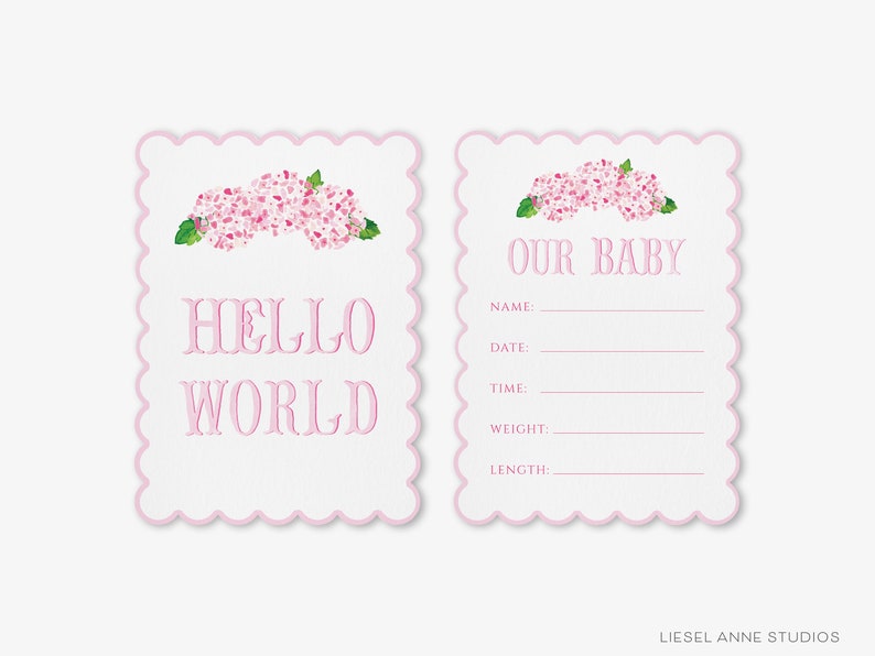 May include: Two pink and white cards with a pink floral design. The card on the left says "Hello World" and the card on the right says "Our Baby" with blank lines for name, date, time, weight, and length.