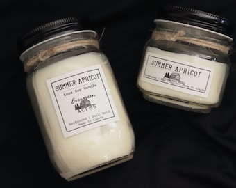 Summer Apricot - Made in Alaska