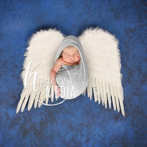 Newborn Angel Baby Studio Portrait Digital Backdrop, Blue Sky with White Angel Wings Flat Lay Digital Photography Prop, JPG Instant Download