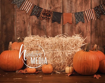 Gracie Oaks Récolte De Citrouille D'automne - Photographie Sur Toile