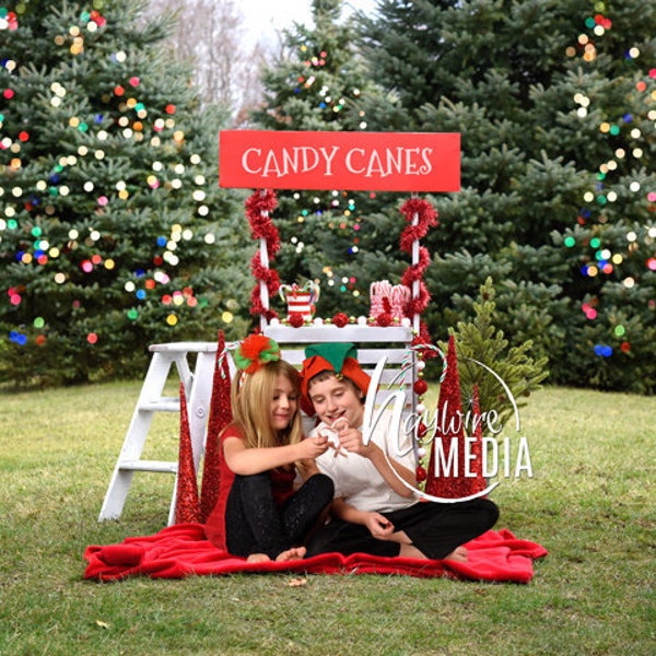 Winter Candy Cane Christmas Stand Booth Outdoor Photography Digital Backdrop for Photographers, Baby, Toddler, Child, Christmas Portrait