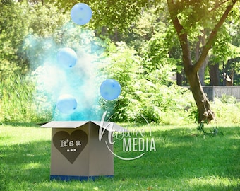 Gender Reveal Baby Pregnancy Photo Scene in Park, Blue Smoke, Photography Digital Backdrop Background, Maternity Announcment Surprise Box