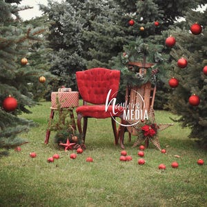 Baby, Child, Family Outdoor Photography Digital Backdrop for Photographers - Winter Christmas Portrait with Nature Trees and Chair - JPG