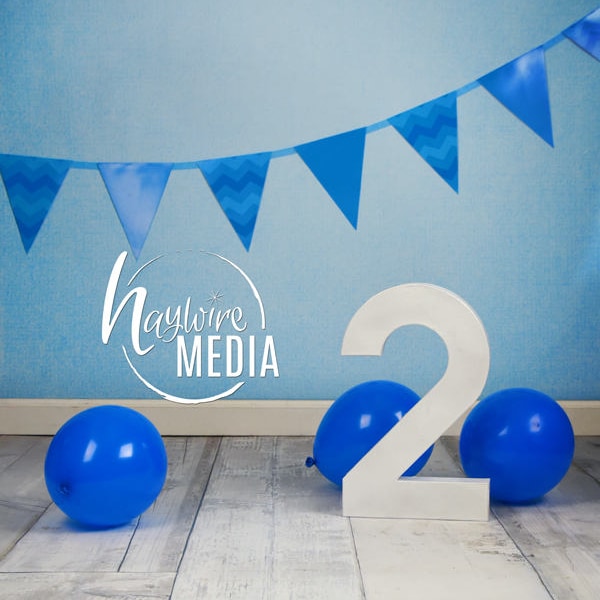 Two Year Old Toddler, Child, Second Birthday Photography Digital Backdrop Background Prop with Number Prop, Party Balloons for Photographers